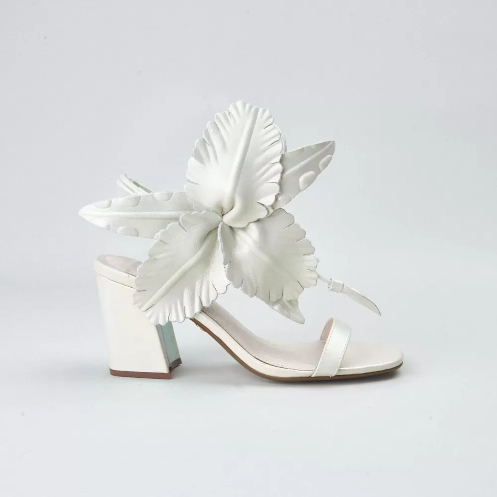 Cecelia New York Hibiscus>Women Heels