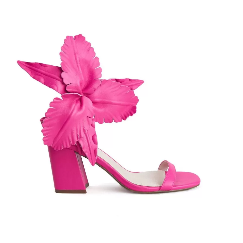 Cecelia New York Hibiscus>Women Heels