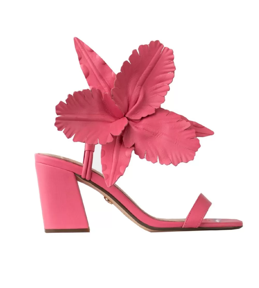 Cecelia New York Hibiscus>Women Heels