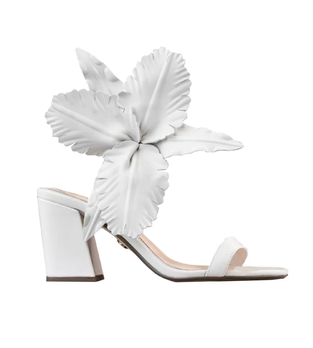 Cecelia New York Hibiscus>Women Heels