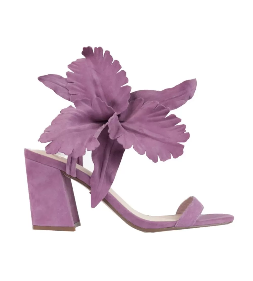 Cecelia New York Hibiscus>Women Heels