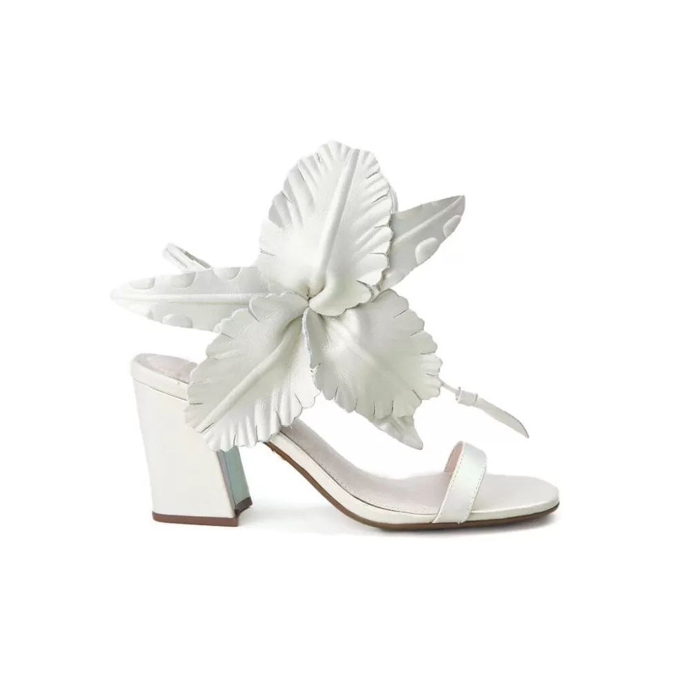 Cecelia New York Hibiscus>Women Heels