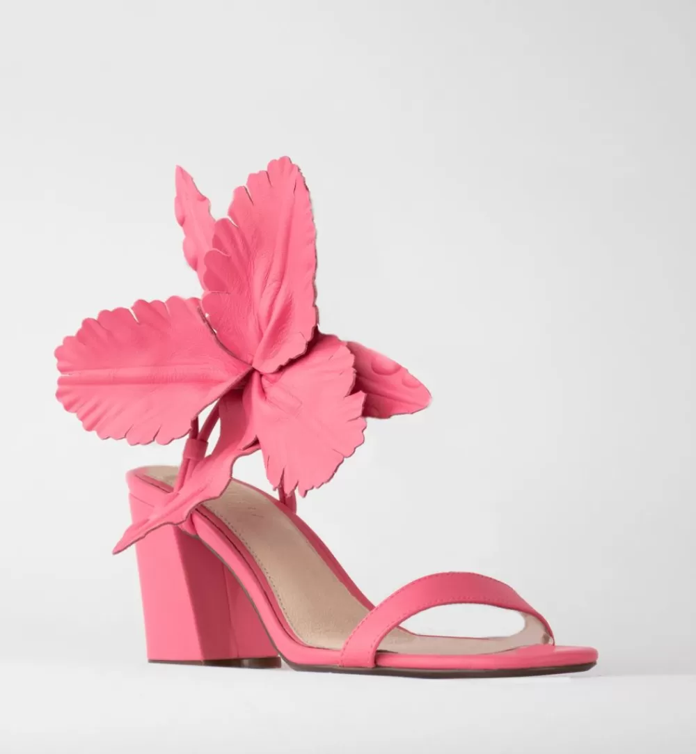 Cecelia New York Hibiscus>Women Heels