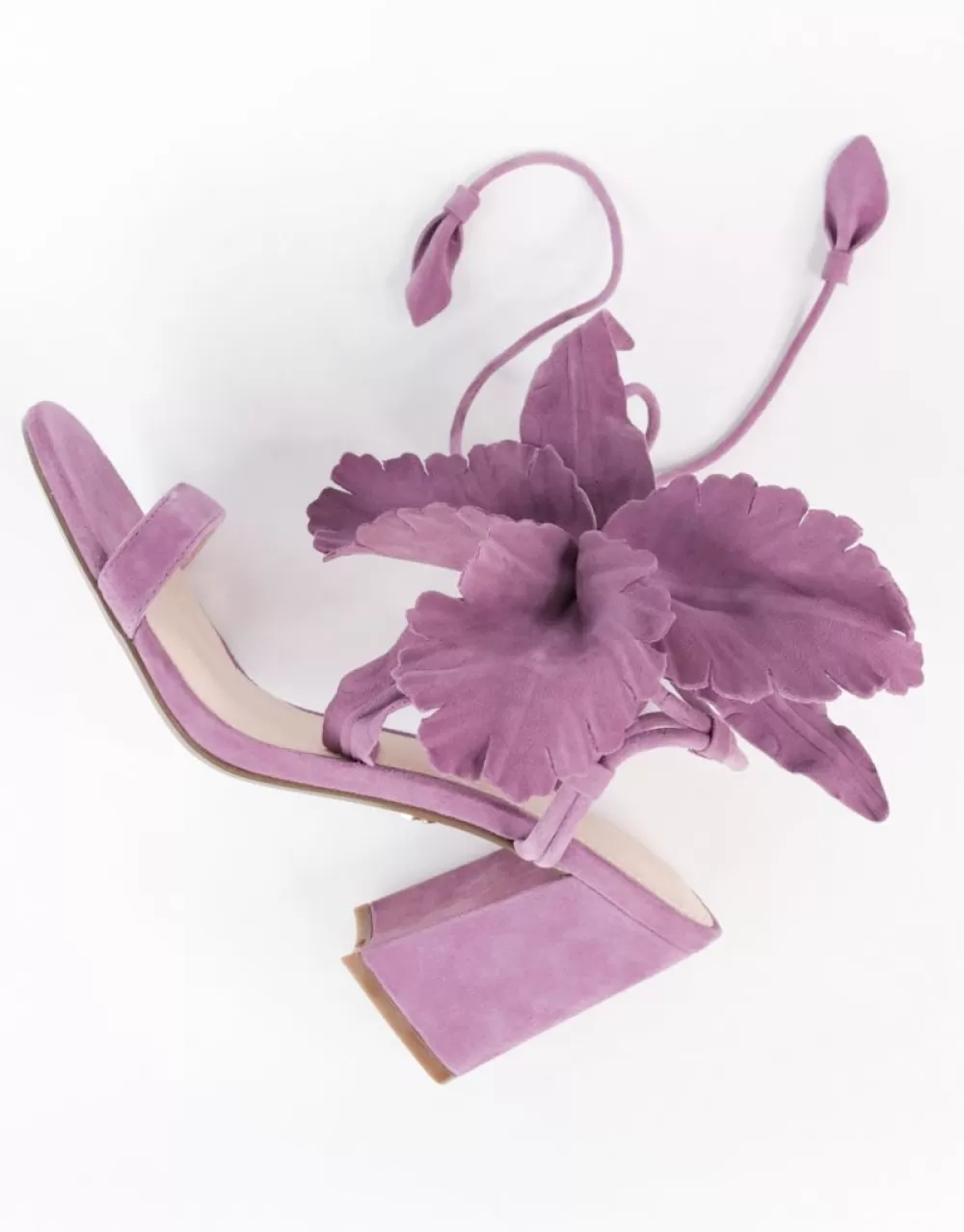 Cecelia New York Hibiscus>Women Heels