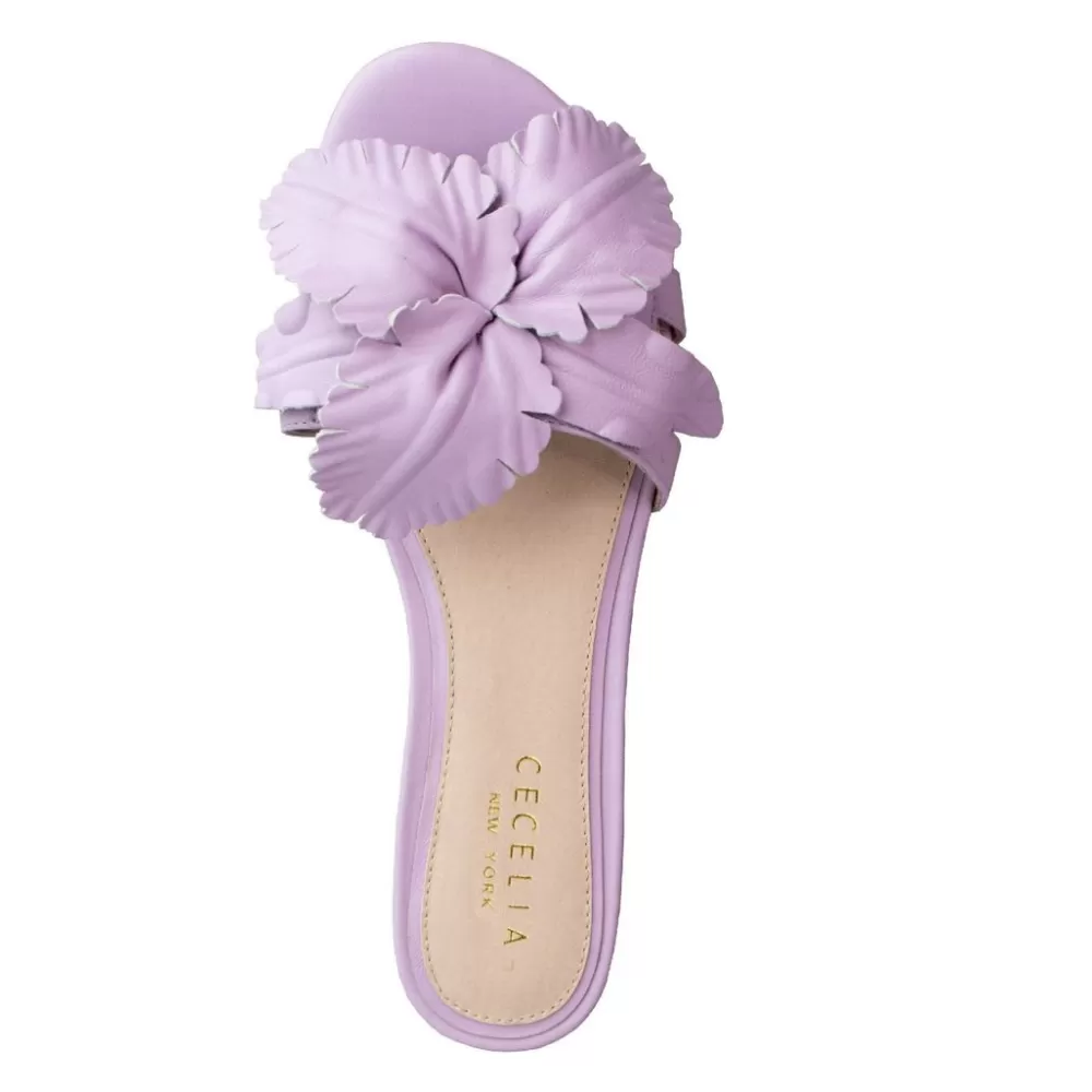 Cecelia New York Lila>Women Flats