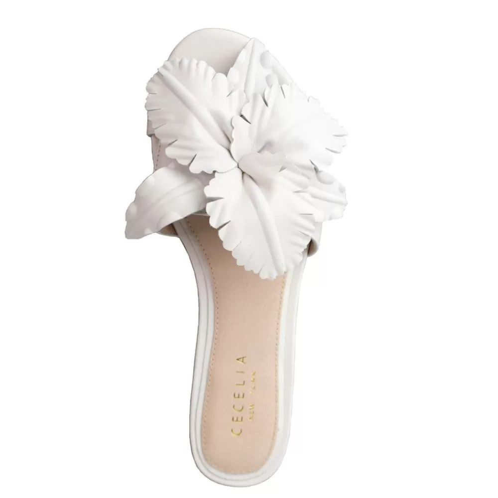 Cecelia New York Lila>Women Flats