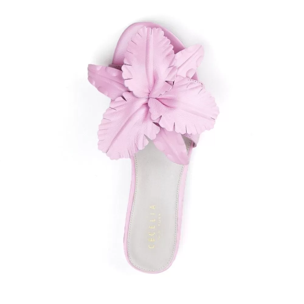 Cecelia New York Lila>Women Flats