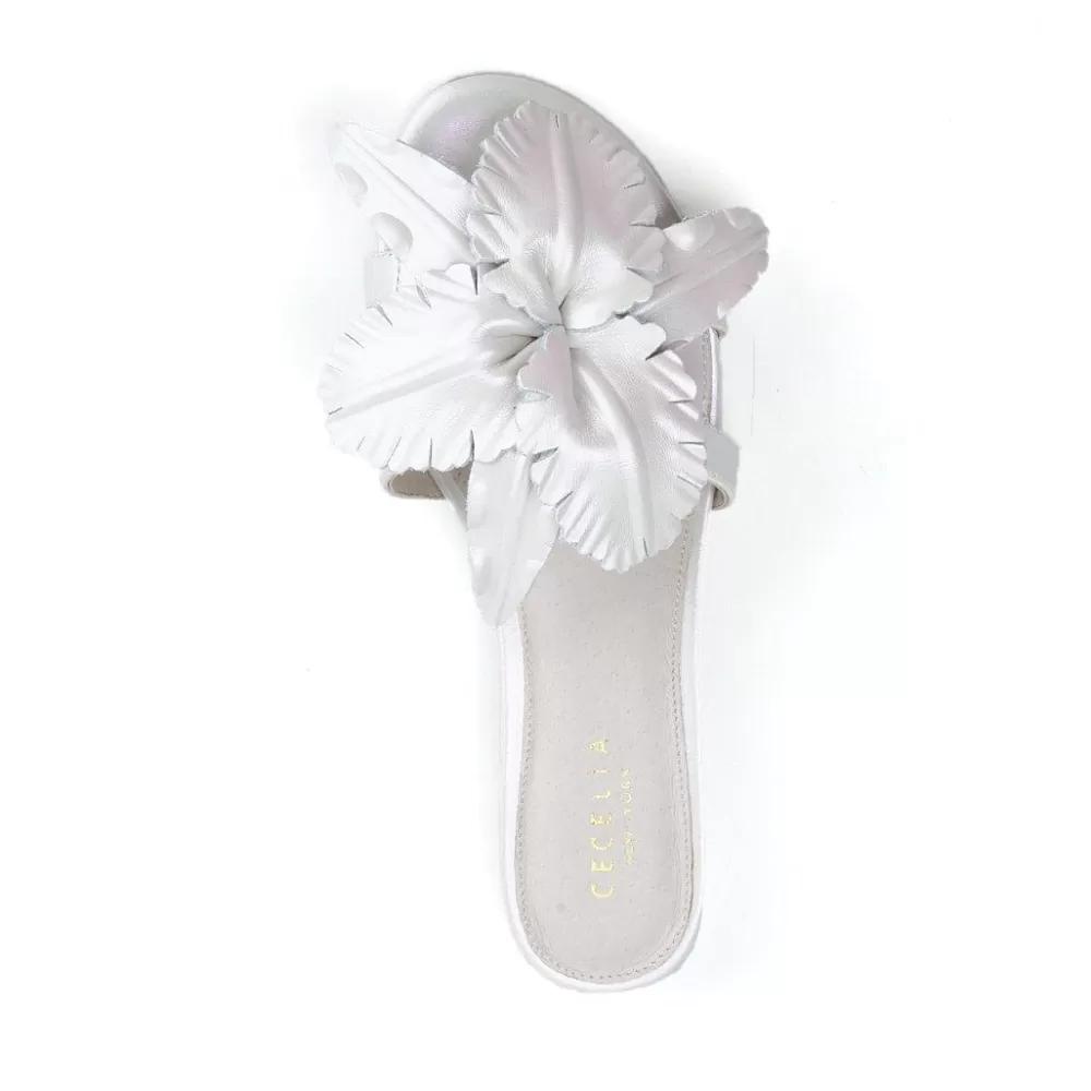 Cecelia New York Lila>Women Flats