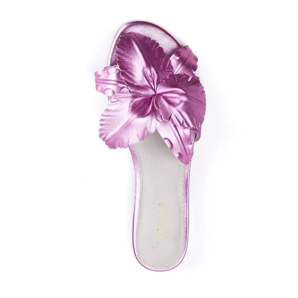 Cecelia New York Lila>Women Flats