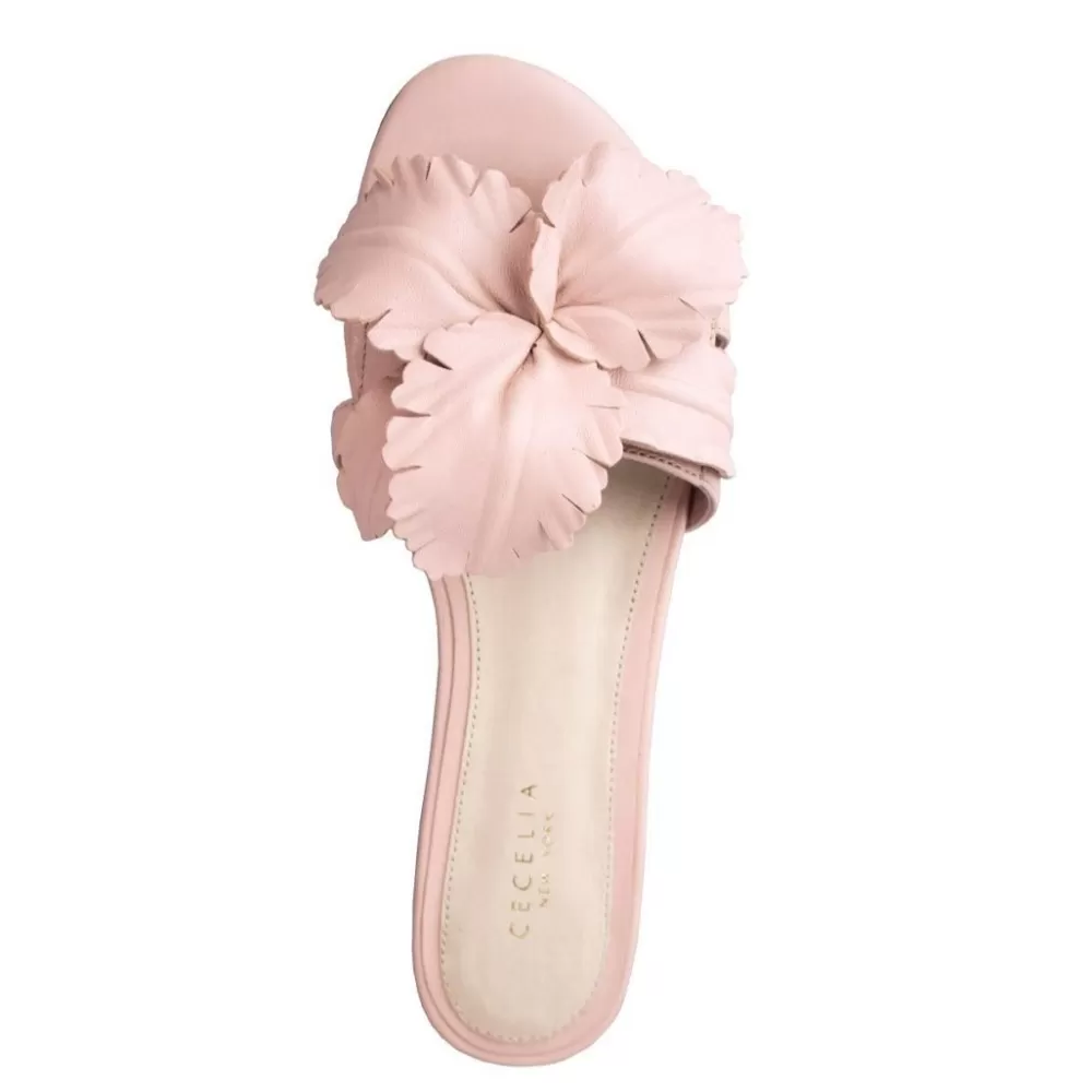 Cecelia New York Lila>Women Flats