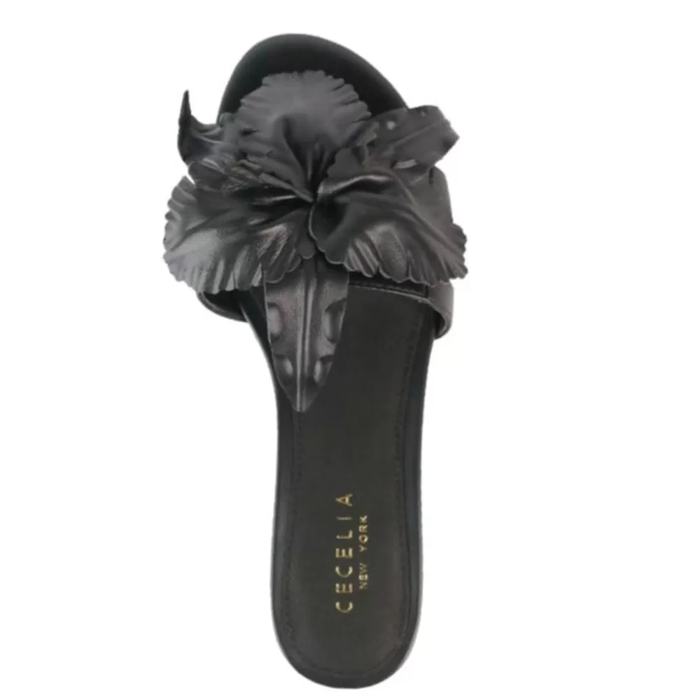 Cecelia New York Lila>Women Flats