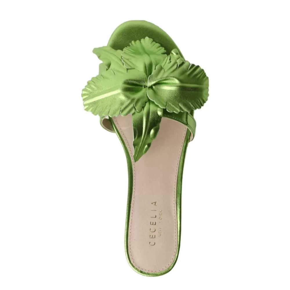 Cecelia New York Lila>Women Flats