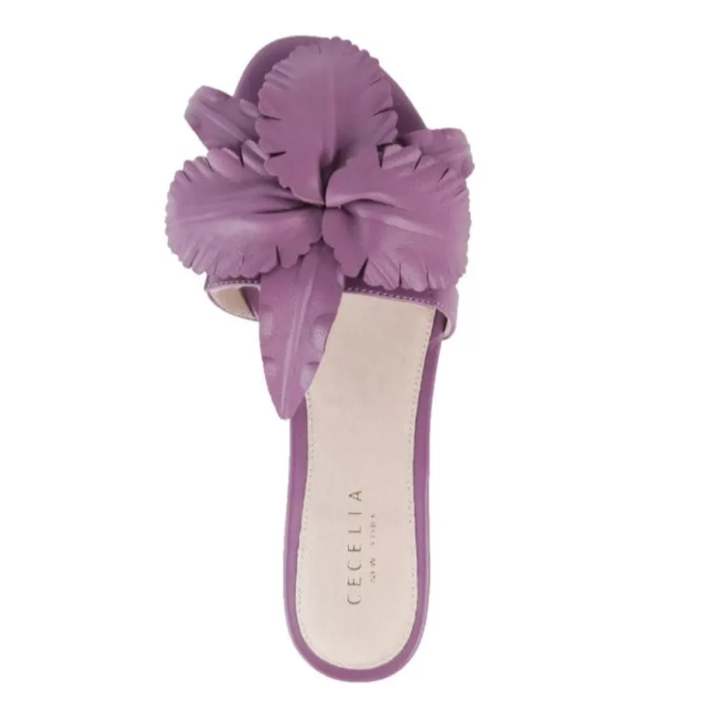 Cecelia New York Lila>Women Flats