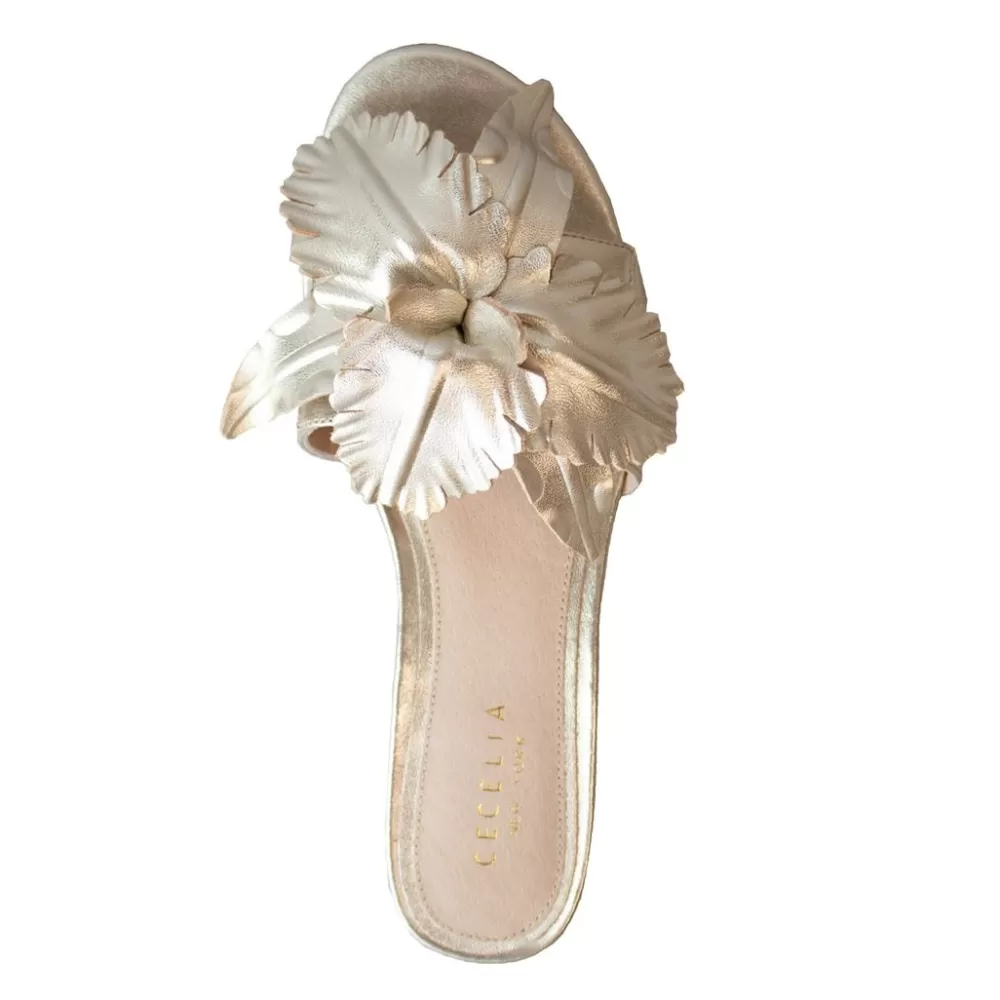 Cecelia New York Lila>Women Flats