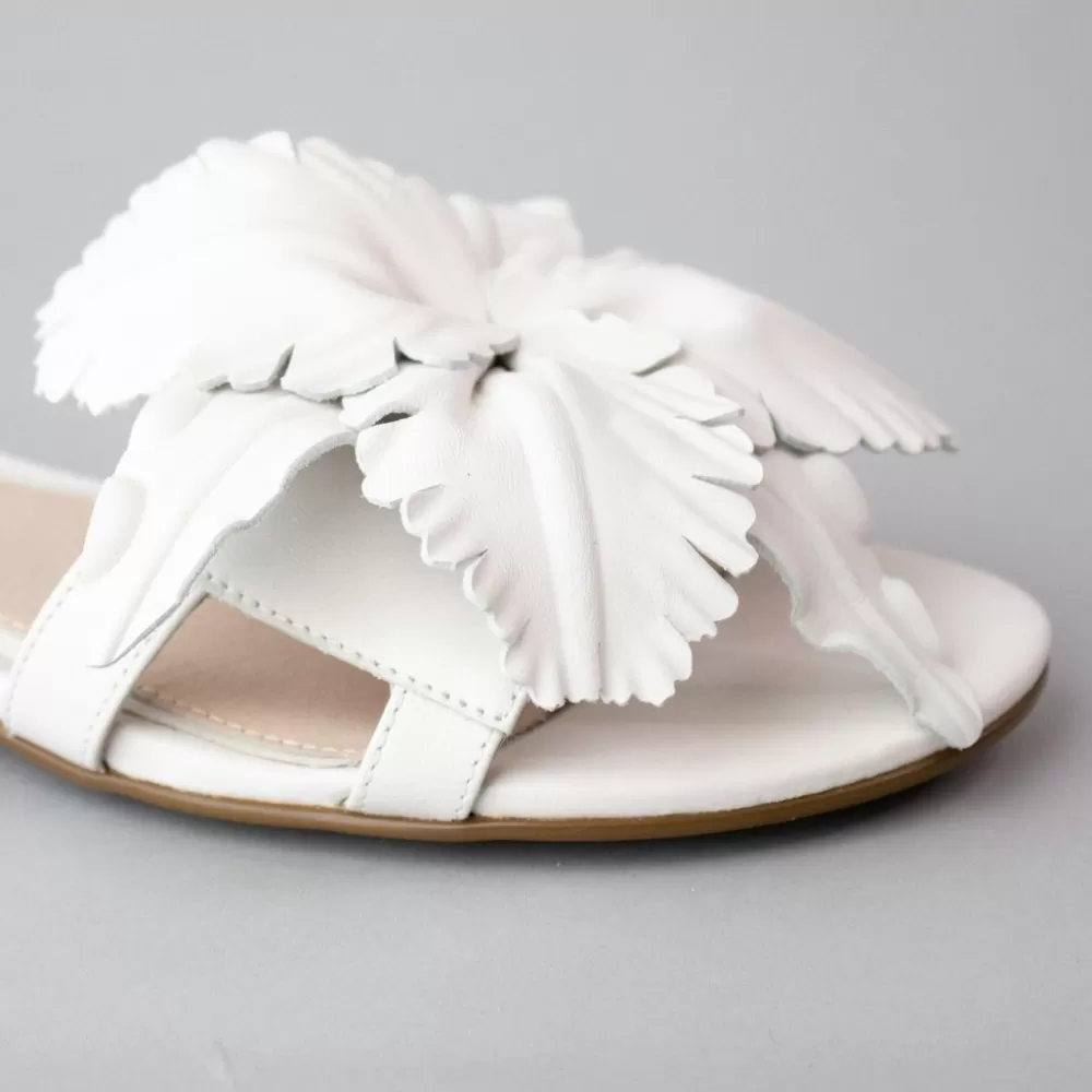 Cecelia New York Lila>Women Flats