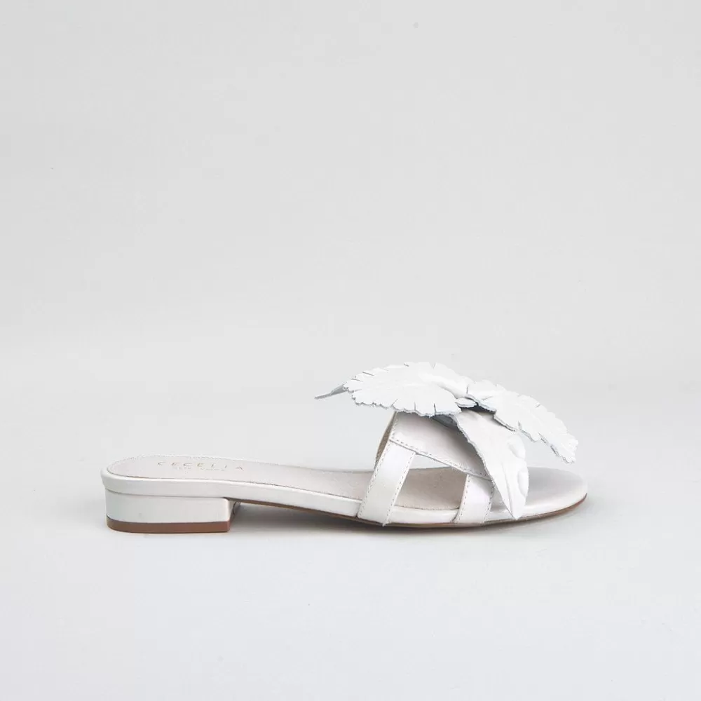 Cecelia New York Lila>Women Flats