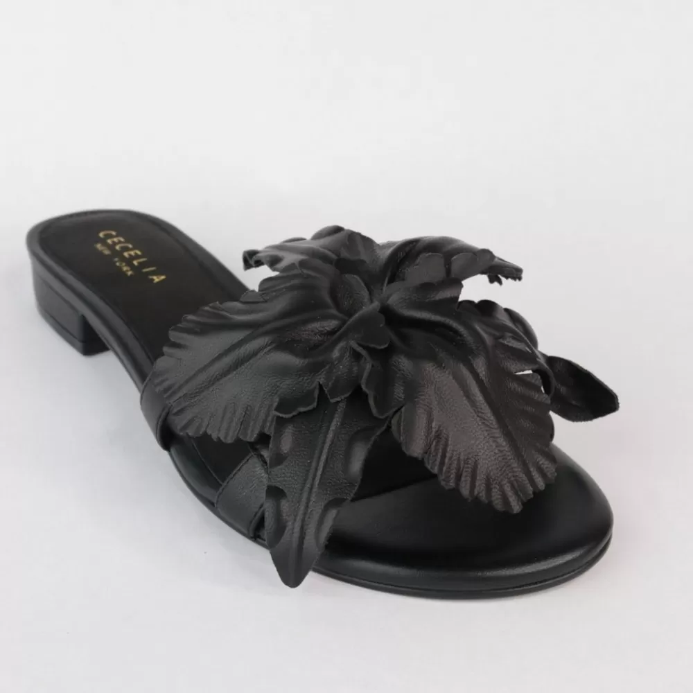 Cecelia New York Lila>Women Flats