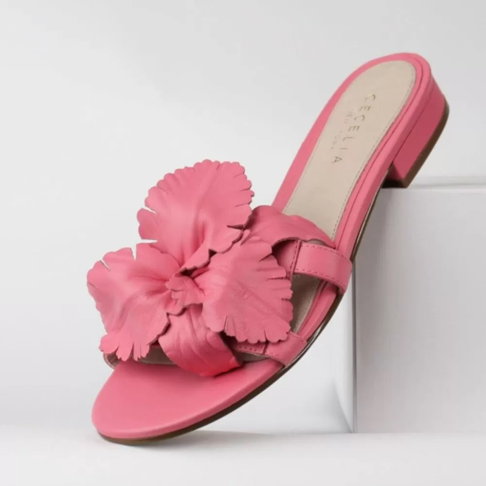 Cecelia New York Lila>Women Flats