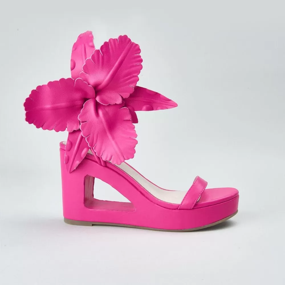 Cecelia New York Lilly>Women Wedges