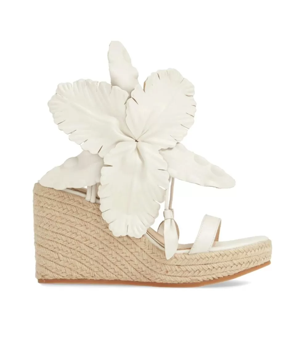 Cecelia New York Lilly>Women Wedges