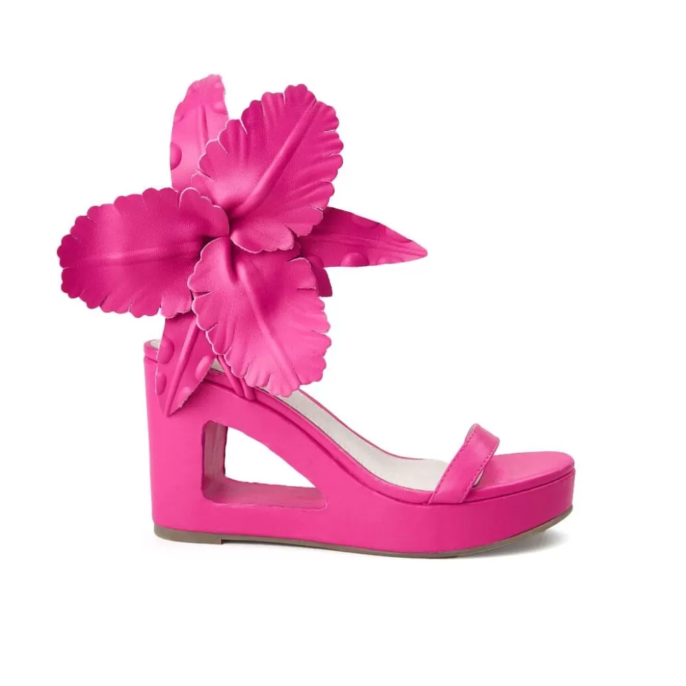 Cecelia New York Lilly>Women Wedges